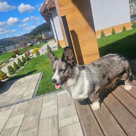 Dom Na Wzgorzu Slonce Na Wylacznosc Jacuzzi Elektryczne Sauna Rowery Zawoz Bagian luar foto
